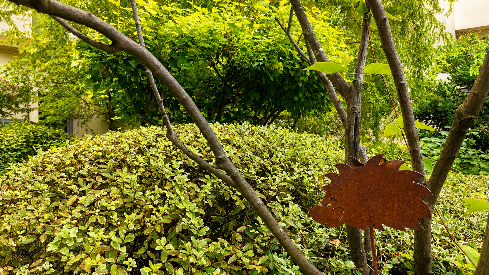 Jardin Grégory Lemarchal - photo 7